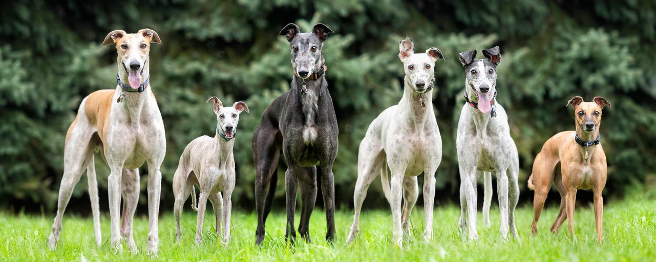 The current image has no alternative text. The file name is: 499212411_1116743560484157_876306608808907670_n.jpg